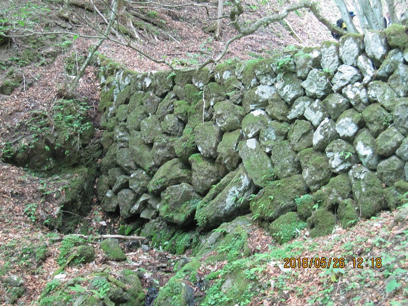 05.JPG