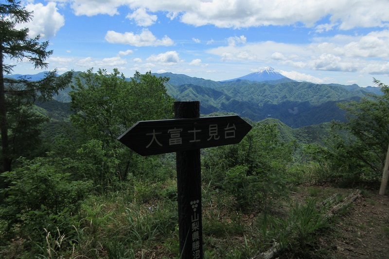 04.JPG