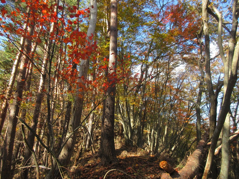 05.JPG