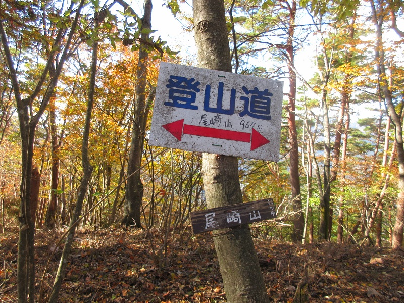 06.JPG