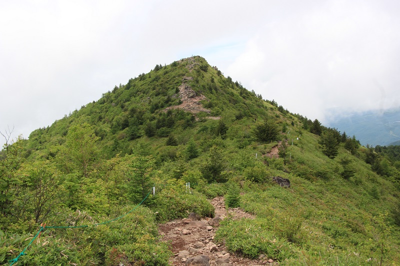 05.JPG