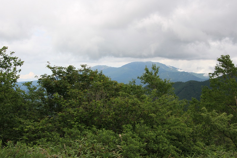 07.JPG