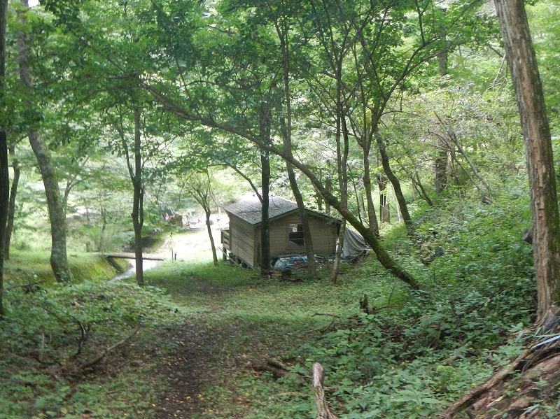 02.JPG