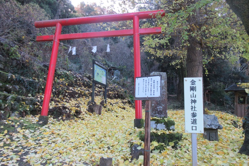01.JPG