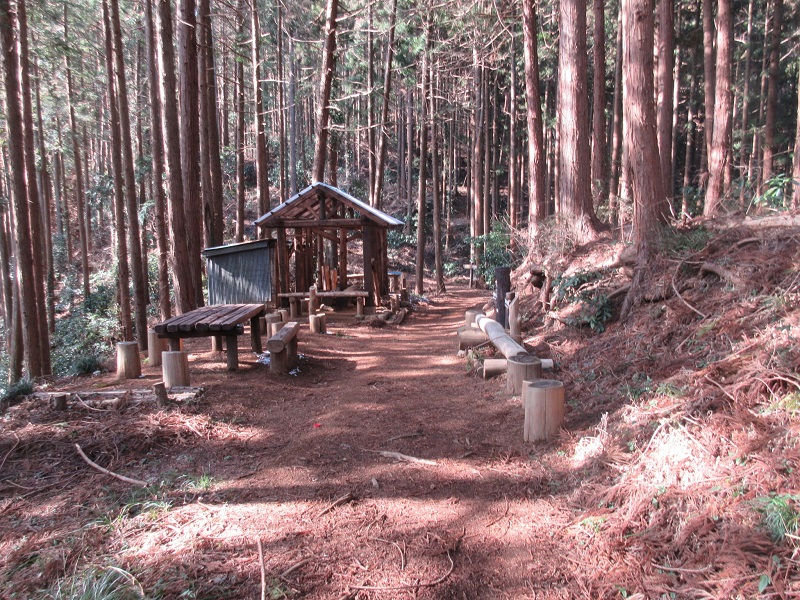 05.JPG