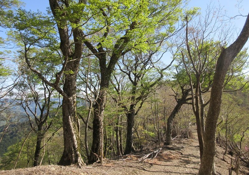 06.JPG