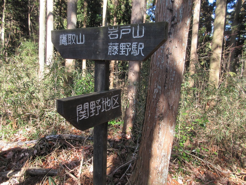 05.JPG