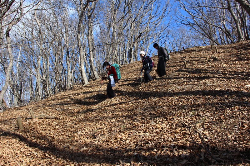 07.JPG