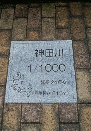 06.JPG