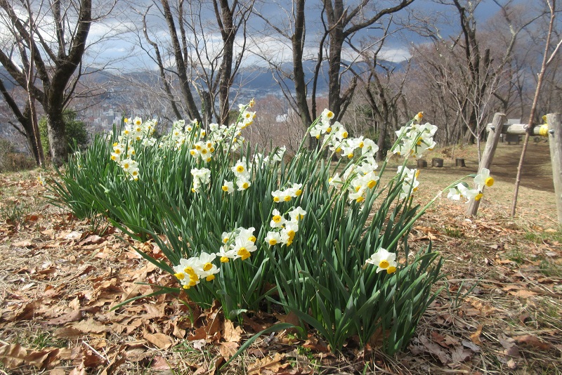 05.JPG