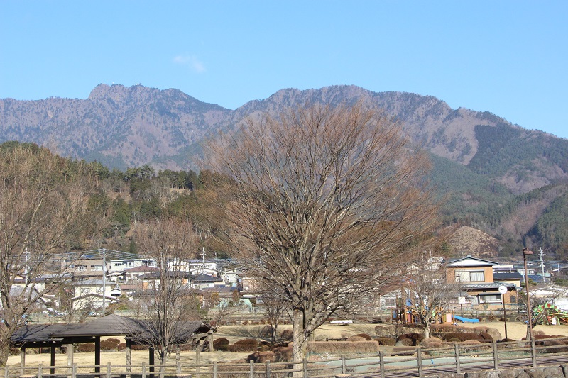 03.JPG