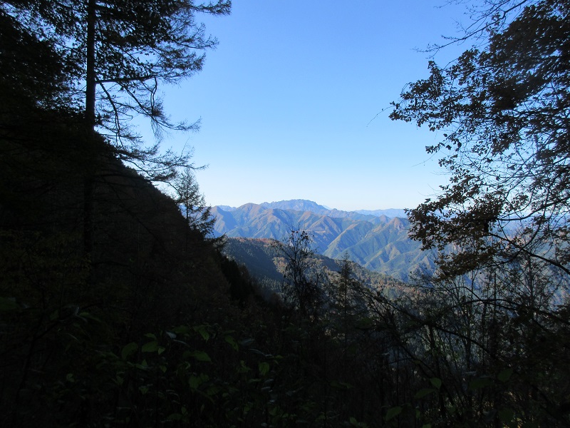 04.JPG