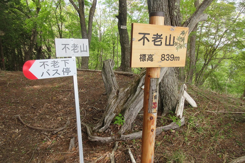 05.JPG