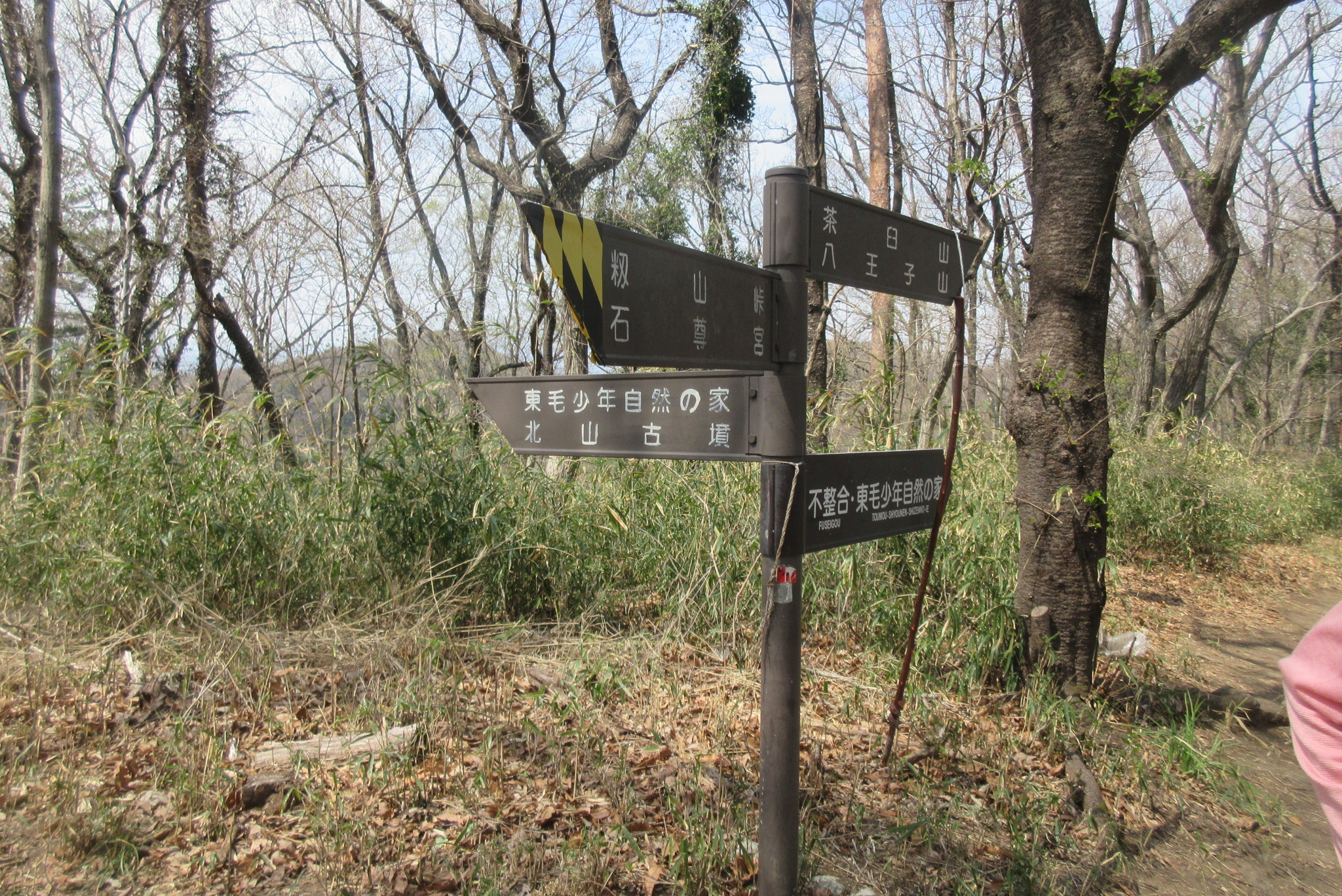 03.JPG