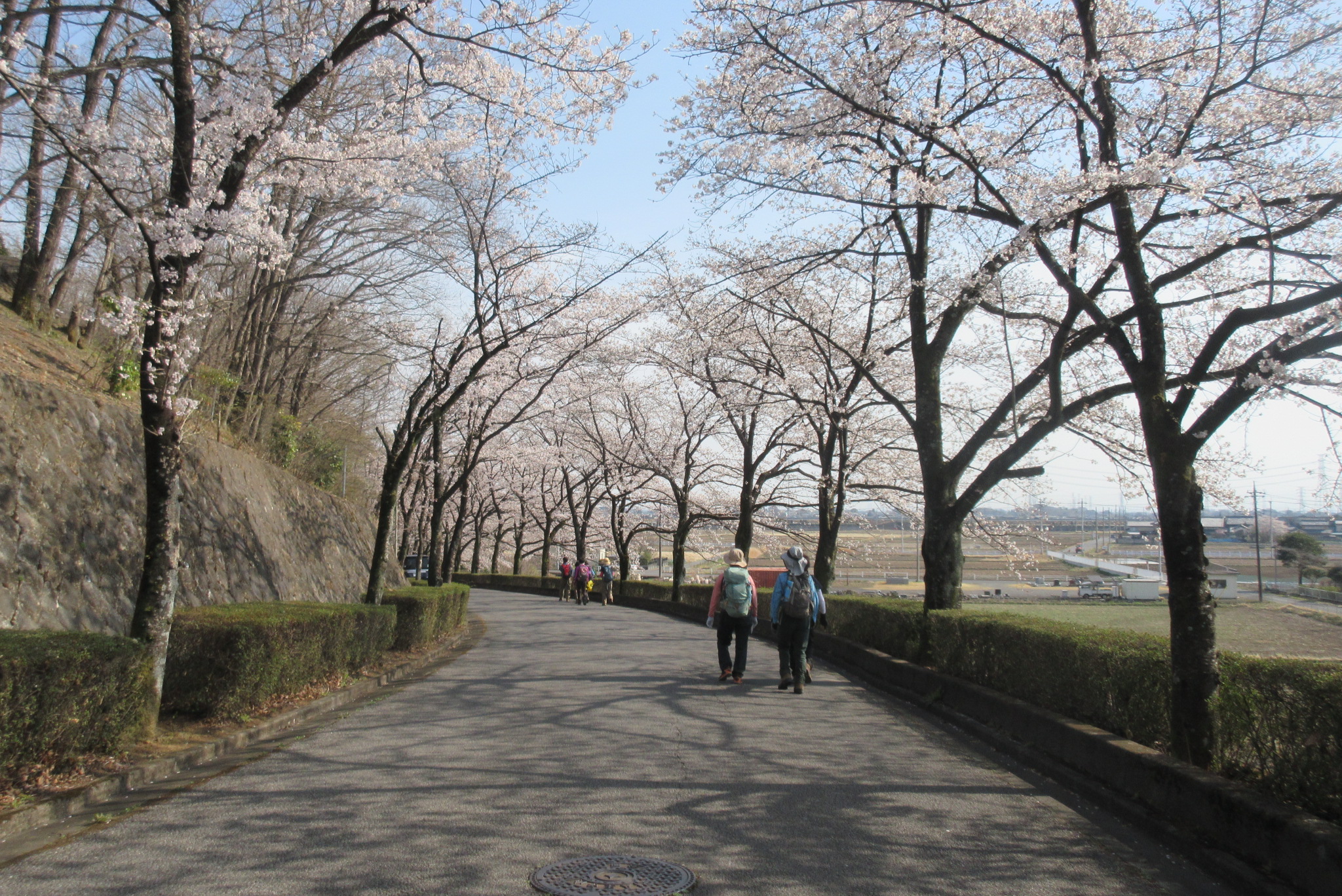 06.JPG