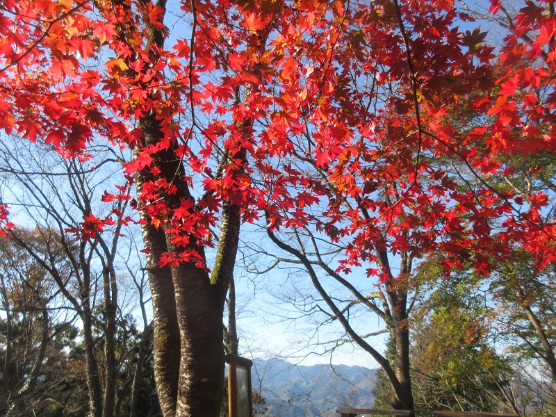 05.JPG