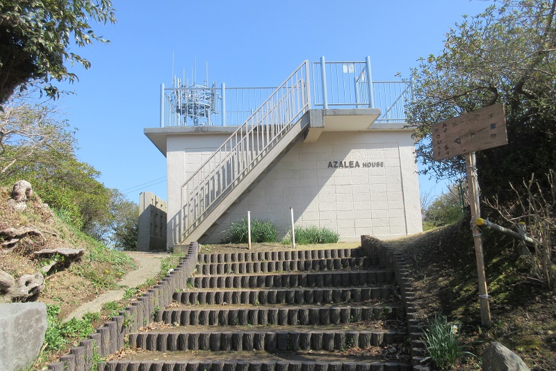 06.JPG