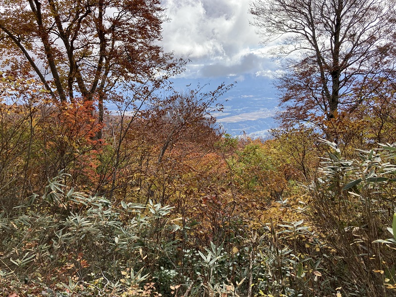 05.JPG