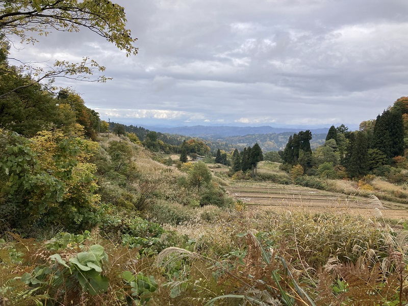 06.JPG
