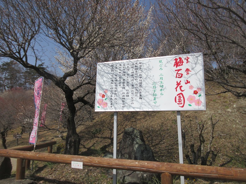 06.JPG