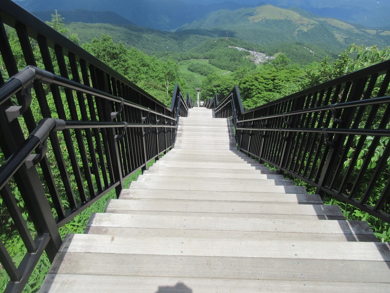 06.JPG