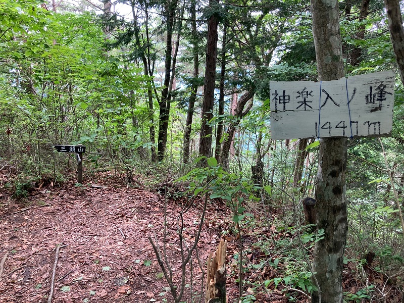 04.JPG