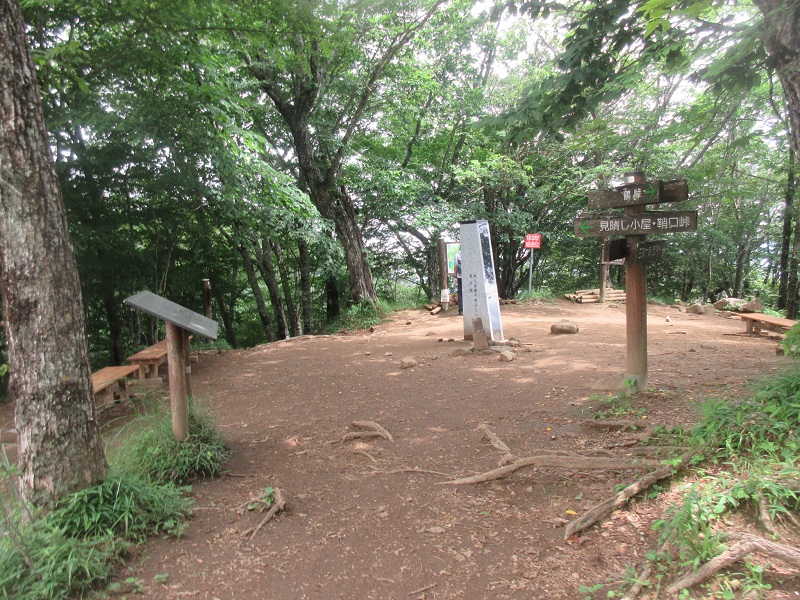 06.JPG