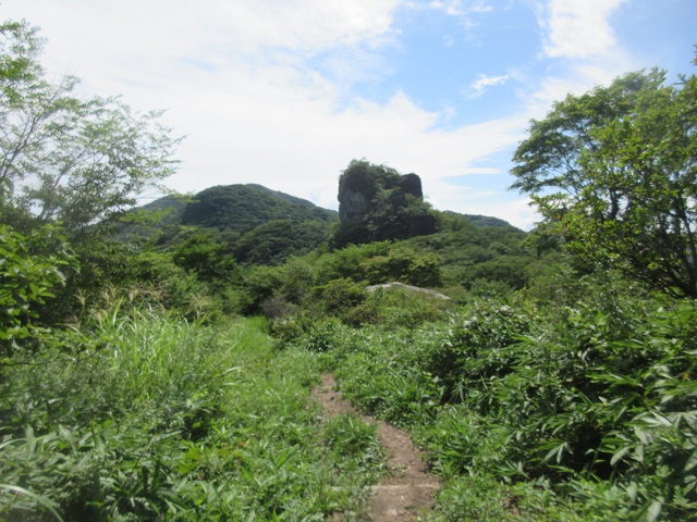 05.JPG