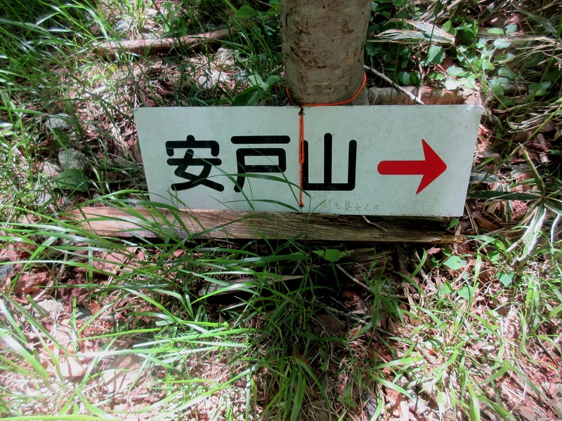 04.JPG