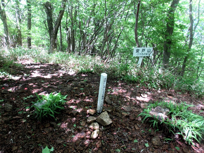 06.JPG