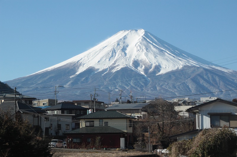 02.JPG