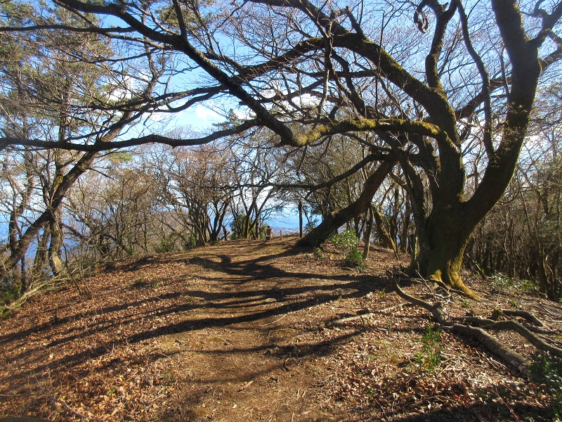 03.JPG