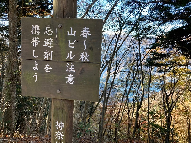 02.JPG
