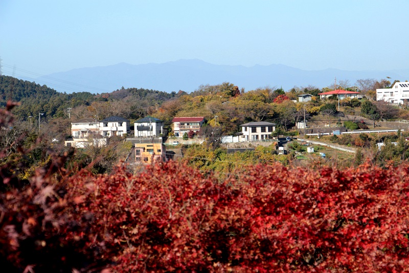 03.JPG