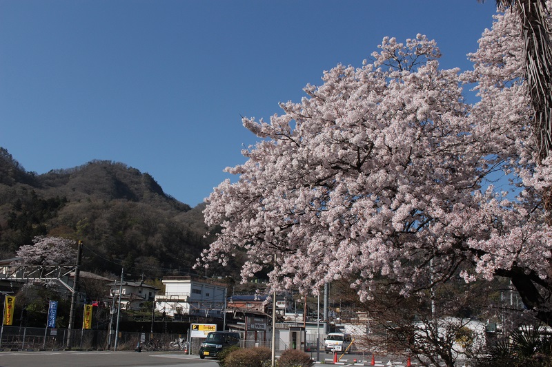 01.JPG