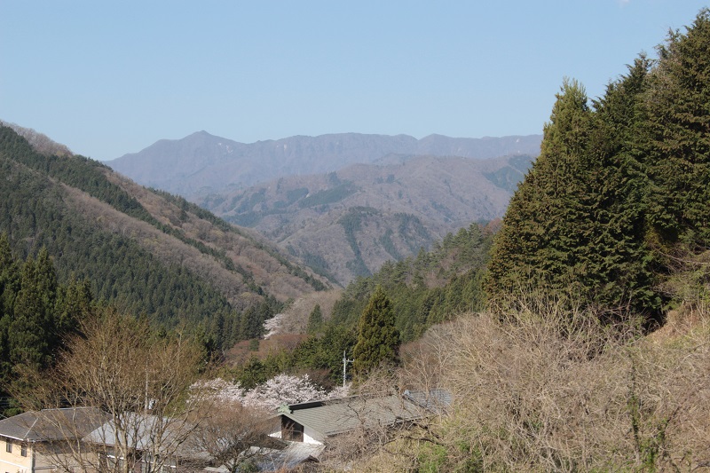 02.JPG