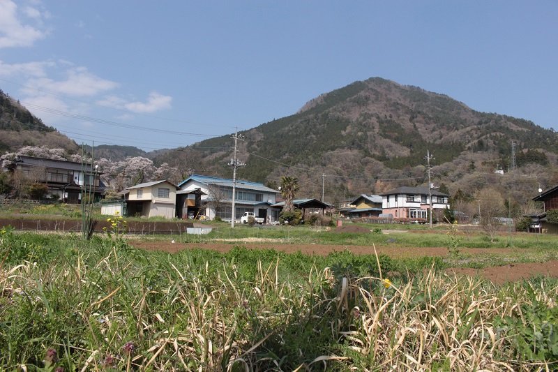 03.JPG