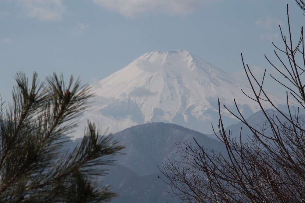 05.JPG
