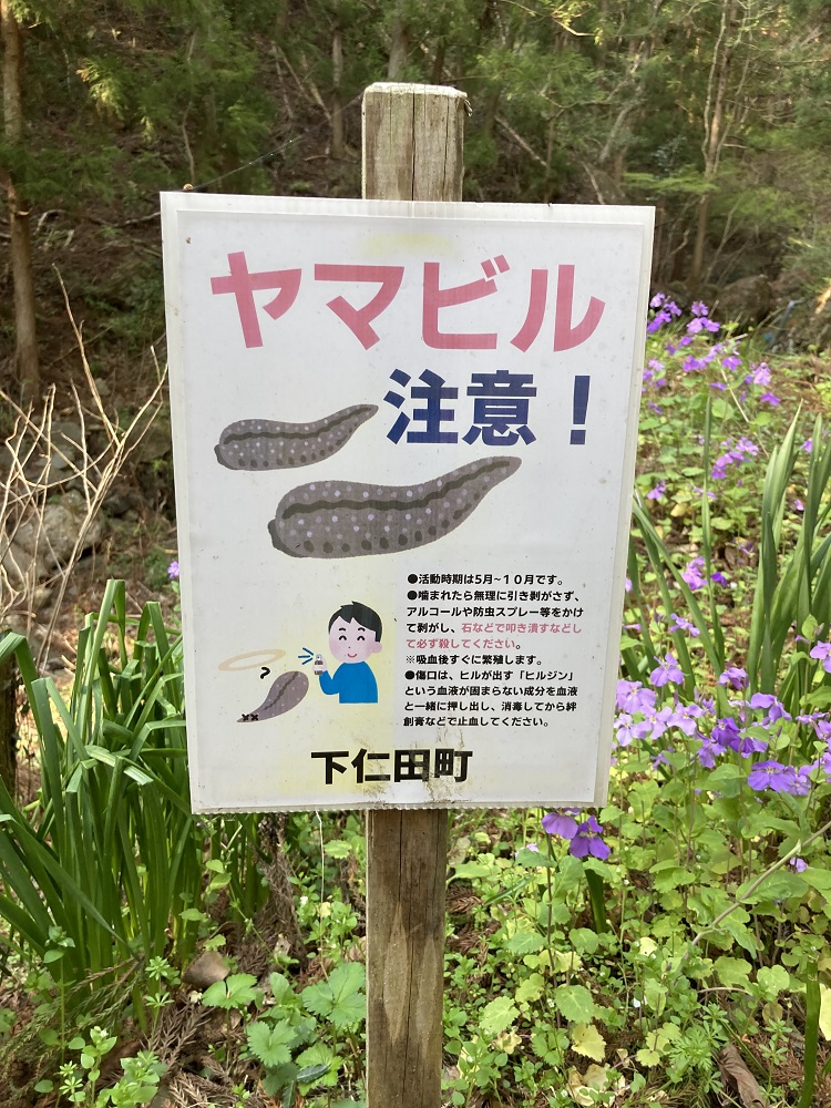 01.jpg