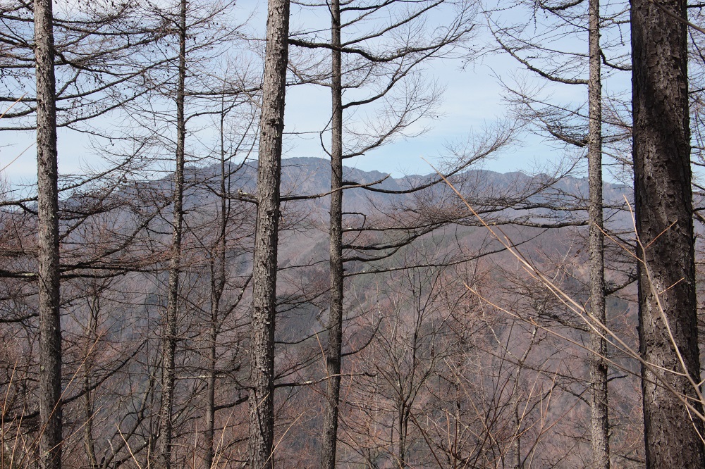 04.JPG