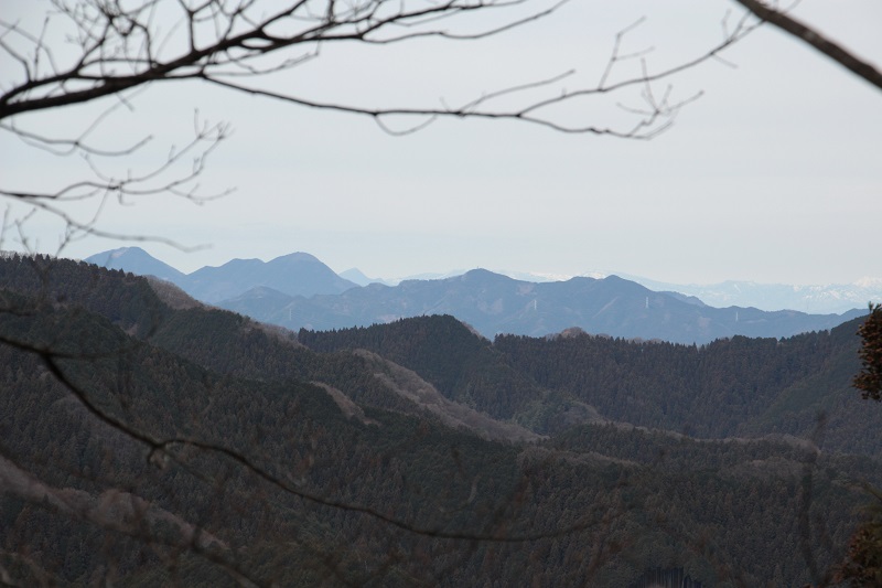 05.JPG