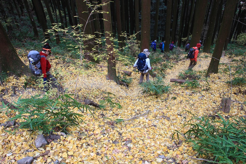 09.JPG