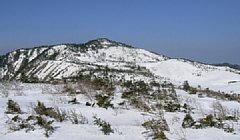 02.jpg