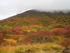 p1000163.jpg