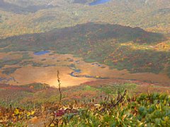 p1000206.jpg
