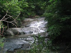 0597.jpg