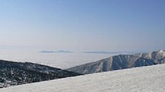 p1000201.jpg