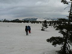 p1000232.jpg