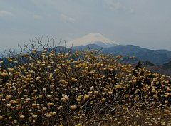 p1000163.jpg