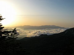 p1000163.jpg